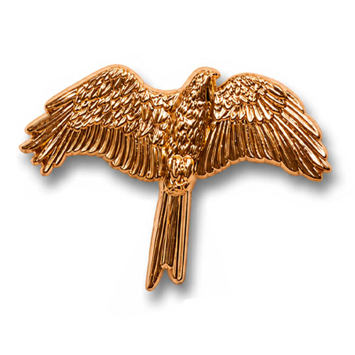 3d-lapel-pins-3