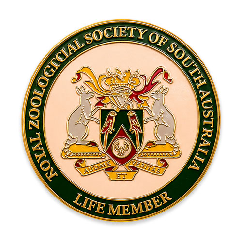 hard-enamel-lapel-pin-2