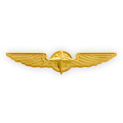 pilot-wings-lapel-pins-1